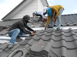 Best Asphalt Shingle Roofing  in Morgantown, KY